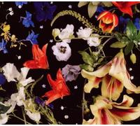 Ralf Hildenbeutel - Nuit Blanche By Ralf Hildenbeutel (2010-06-14)