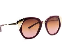 Ralph Lauren 0RL 8178 500718 50