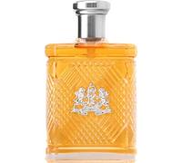 Ralph Lauren Safari Eau de Toilette Woody Fresh Colonia 120 ml | Fragancia con eucalipto, lavanda, vetiver - Larga duración - Perfume distintivo para hombre para uso diario