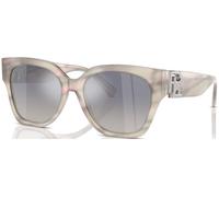 Ralph Lauren The Overszed Ricky RL8221 C55 61774L Gris