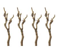 Rama con líquenes UE 4 unid.