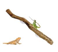 Rama de escalada para reptiles, ramas para reptiles, decoración de trepapia de serpientes única, accesorios de escalada, decoración natural de la piscina de serpientes, decoración de reptiles, decorac