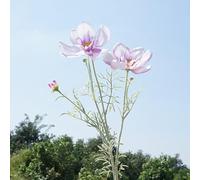 Rama de flores artificiales de cosmos, flores de lujo de plástico realistas, flores de simulación, decoración de boda, decoración de jarrón de bricolaje (morado claro)