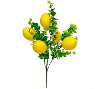 Rama de limón realista para sesiones de estudio, creación de contenido de redes sociales y narración visual de marca de estilo de vida (estilo A)