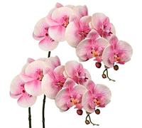 Rama de orquídea artificial (2 unidades, con 9 flores)
