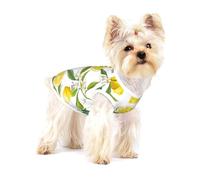 Ramas de limonero exóticas Estampadas, deliciosas y deliciosas,Camiseta de algodón sin Mangas para Mascotas, Chaleco Transpirable, Suave y elástico para Cachorros,S