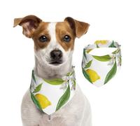Ramas de limonero exóticas Estampadas, deliciosas y deliciosas,Pañuelos de algodón para Perros, Bufandas Ajustables para Mascotas,S