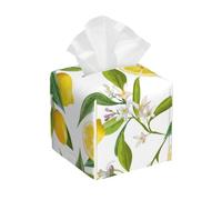 Ramas de limonero exótico con Patrones, ¡deliciosas!,Dispensador de pañuelos, Funda para Caja de pañuelos, dispensador de pañuelos