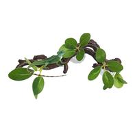 Ramas de reptiles, ramas de árbol de succión, carcasa de serpiente, accesorios de jaula de reptiles, juguete de enriquecimiento para lagartos y barbudos, 11,42 x 8,66 pulgadas
