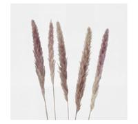 Ramillete floral pampa natural 85cm marca boltze