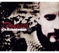 Rammstein - Rosenrot (2-Track)
