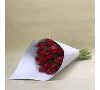 Ramo 20 Tulipanes Naturales Rojos para Regalar. PORTES GRATIS