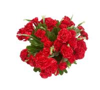 Ramo de 4 racimos de claveles de flores artificiales de seda, ramo de 12 pulgadas y hojas verdes para accesorios de fotos, fiesta en el hogar, decoración de festivales con 10 por ramo de flores (rojo)