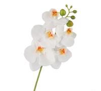 Ramo de flores artificiales de orquídea Phalaenopsis de 17.7 pulgadas con 5 flores realistas de PVC para el hogar, jardín, centros de mesa, boda, fiesta, arreglos florales (blanco)