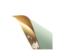 Ramo de flores de colores de doble cara, estilo coreano, for regalo de San Valentín, boda o cumpleaños (10 hojas) (verde)