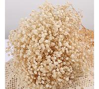 Ramo de flores de respiración, ramo de flores secas, 17.2 pulgadas, más de 2000 flores blancas marfil, ramas naturales de gypsophila para bodas, corona floral, decoración de fiesta de oficina