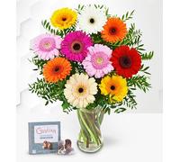 Ramo de Flores Geberberas Con Chocolates - Ramo de Flores - Regalo de Flores Frescas para Cumpleaños o Día de la Madre - Arreglo de Lujo con Entrega al Día Siguiente - Sorpresa Elegante para Ella