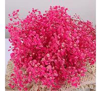 Ramo de flores secas de gypsophila - 2000+ flores secas de color rosa, ramas de gypsophila naturales de 43 cm para bodas, decoración de jarrones de mesa, flores de corona, decoración del hogar,