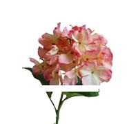 Ramo de flores secas exóticas abundantes tallos de hortensias grandes con hojas, 5 pcs ramas ramas de flores artificiales, adecuadas para flores de boda, arreglo de decoración de flores del hogar