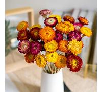Ramo de flores secas naturales seco - 20 piezas de margaritas multicolores para bodas, decoración de jarrones rústicos, salón y oficina