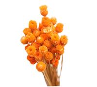 Ramo de margaritas secas naturales para decoración en jarrón, mesa floral, 50 tallos, flores secas naturales, flores falsas para decoración en jarrón, ramo de margaritas secas