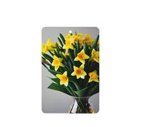 Ramo de narcisos con estampado de tarjetas ambientadoras de coche de moda, 10 hojas colgantes perfumadas para coche