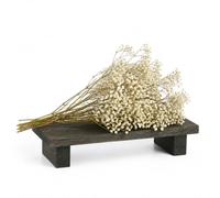 Ramo Flor Paniculata Preservada - DECOALIVE - para Dormitorio | Paniculata Natural Preservada para Incorporar un Detalle Floral a la Estancia