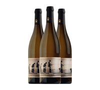 Ramón do Casar Treixadura Ribeiro 75 cl Vino blanco (Caja de 3 Botellas de 75 cl)