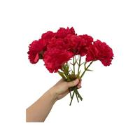 Ramos de 11 pulgadas, 10 claveles no se decolora, mini pétalos de seda de clavel, flores falsas para siempre plantas para accesorios de fotos, decoración del hogar, fiesta y boda (rojo-10)