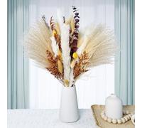 Ramos de Flores Secas Naturales Decoración,Pampas Secas Decoracion,Ramas Secas Decorativas,Hierba de Pampa Esponjosas para Arreglos Florales de Boda Decoración del Salon Hogar (49 Piezas)