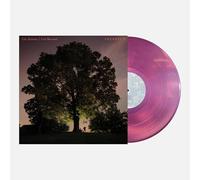 Ramsey, Tyler / Broemel, Carl - Celestun - Magenta [Vinilo]