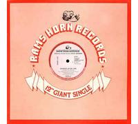 RAMSH123149 12" Moment Of My Life VINYL