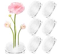 Rana de Flores, 6 Piezas Redondas de plástico Transparente Ikebana Kenzan Rana Japonesa Titular de Flores con 3 ventosas para Manualidades de Flores