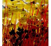 Ranarim - Till the Light of Day