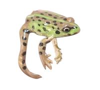 Ranas de rana para mujer - Raga De Piedra Preciosa Ranas, Anillo Funny Diseños Único | Accesorio De Amante De Los Animales Geniales, Pieza De Moda De Declaración Unisex, Anfibio Único, Ropa De, Se