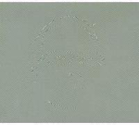 Random Factor - Convergence