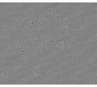 Random Factor - Convergence