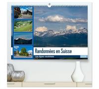 Randonnées en Suisse Les Alpes vaudoises (Calendrier mural 2026 DIN A2 vertical) calendrier de bureau: Découverte de la Suisse et du Canton de Vaud
