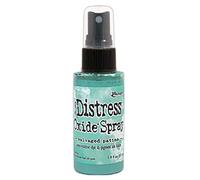 Ranger Tim Holtz-Spray de óxido de envejecimiento, pátina salvada, 57 ml (1.9fl oz)