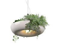Ranley Lámpara Colgante de Plantas en Maceta,Lámpara de Plantas Colgante Creativa | Iluminación Ambiental Minimalista para Interior Exterior Salón Dormitorio Cocina Oficina Restaurante Casa de Campo