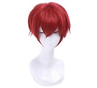 Ranma 1/2 Ranma Saotome Cosplay Pelucas 25 cm Red Borgoña Corta Sintético Sintético Perucas Unisex Cosplay Wig