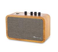 RANMING Amplificador de guitarra de 10 W, mini amplificador de guitarra con canal de limpieza/transmisión, amplificador de guitarra eléctrica portátil con conector para auriculares, amplificadores