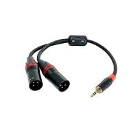 Rannsgeer Cable Divisor en Y de TRS estéreo de 3,5 mm a XLR Macho Doble R7Cxx 15 Pulgada