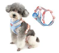 Ranphy Arnés de malla sin tirones para perros pequeños y medianos, chaleco suave ajustable para mascotas con correas de color de contraste, pecho acolchado, a prueba de escapes, hebilla de liberación