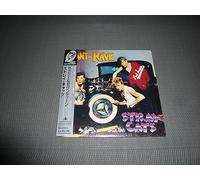 Rant N Rave With Stray Cats