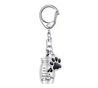 Ranuw Caja de urna de acero inoxidable para mascotas, llavero para perros y gatos, llavero de recuerdo, colección de pérdida, recuerdo, caja de cenizas, accesorios de joyería