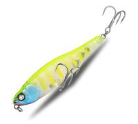 Ranuw Walking the Dog - Señuelo de pesca con anzuelo duro, 10 cm, 12,8 g, lápiz Topwater, cebo de pesca de plástico duro