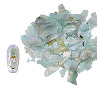 Ranvi Piezas de concha de abulón para decoración de uñas en 3D, piezas de concha para decoración de uñas