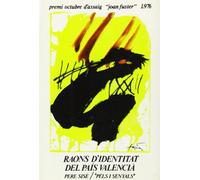 RAONS D?IDENTITAT DEL PAIS VALENCIA (PELS I SENYALS) (SIN COLECCION)