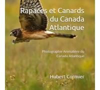 Rapaces et Canards du Canada Atlantique: Photographie Animalière du Canada Atlantique